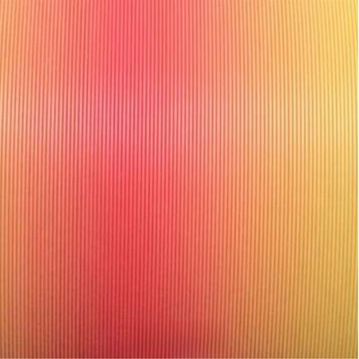 Panchroma PLA Gradient Sonbahar Filament 1.75mm 1Kg