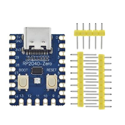 Raspberry Pi RP2040 Geliştirme Kartı